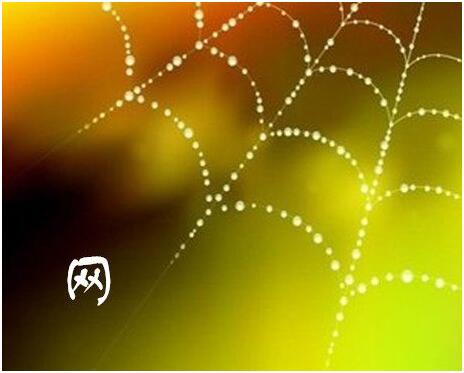 从蜘蛛网到“因果网”联想，我们的心被什么“网”住了？